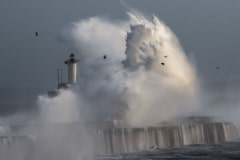 frederic-briois-histoire-de-vagues-FRE_4455